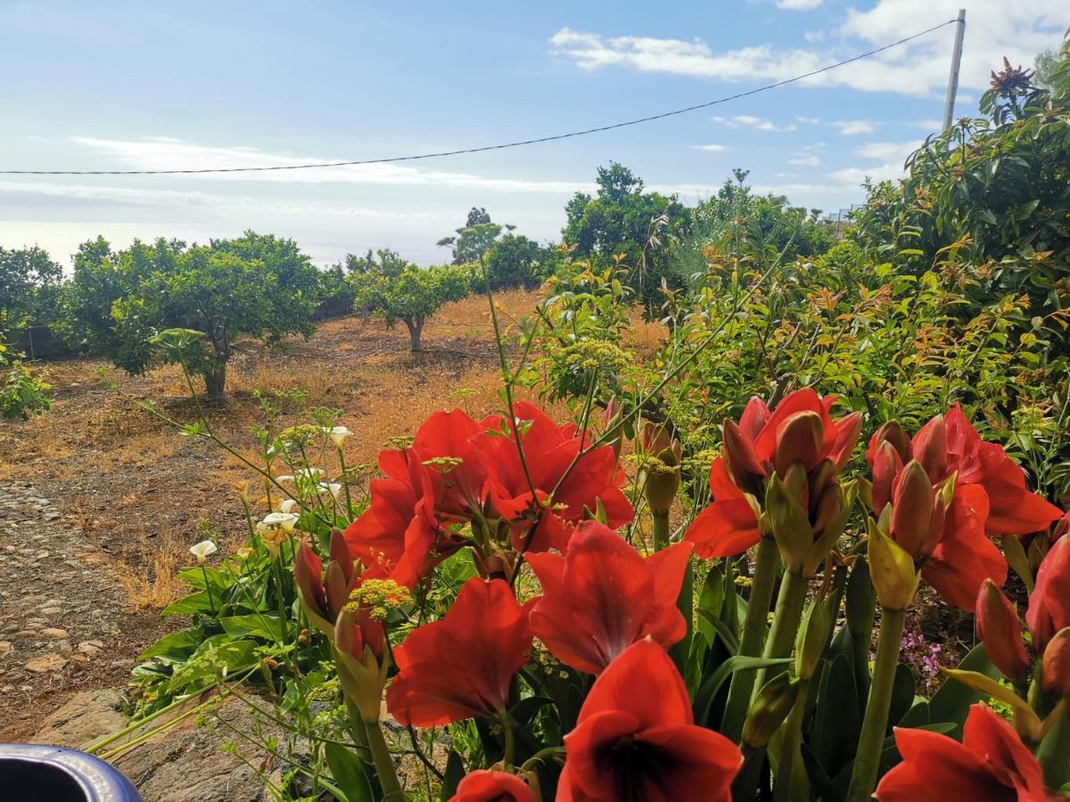 Casa Rural Dolores En Adeje Costa Adeje  ภายนอก รูปภาพ