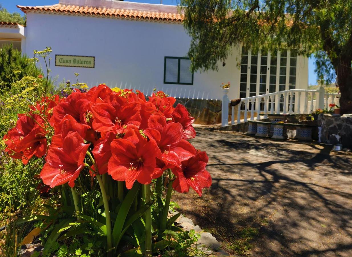 Casa Rural Dolores En Adeje Costa Adeje  ภายนอก รูปภาพ