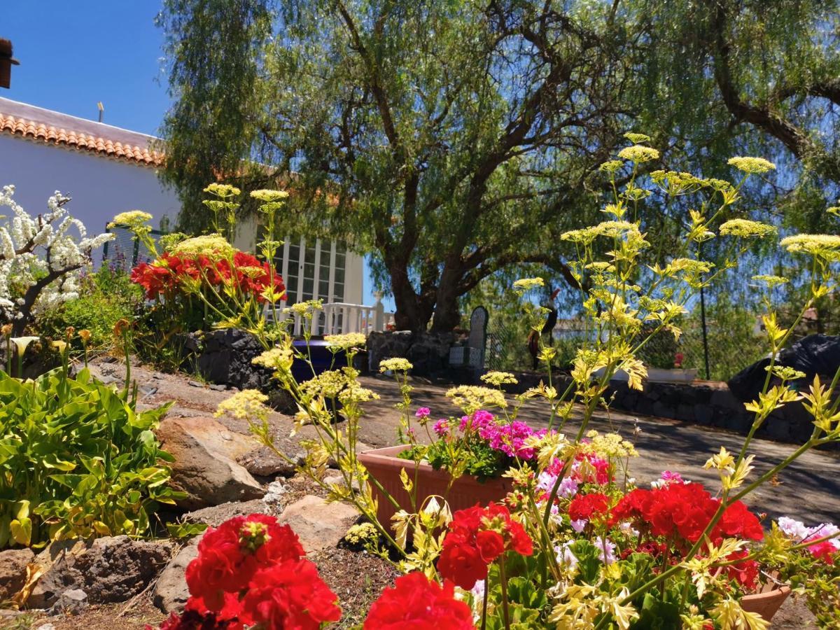 Casa Rural Dolores En Adeje Costa Adeje  ภายนอก รูปภาพ